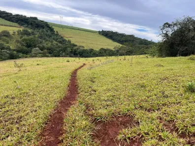 Fazenda/Sítio com 2 Quartos à venda, 169400m² no Centro, Batatais