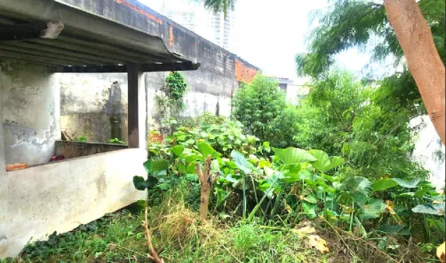 Lote/Terreno à venda, 263m² no Vila Brasílio Machado, São Paulo