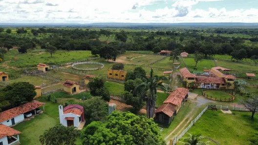Fazenda/Sítio com 12 Quartos à venda, 532m² no Várzea da Palma, Várzea da Palma