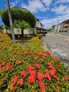 Apartamento com 3 Quartos à venda, 80m² no Neópolis, Natal