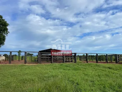 Fazenda/Sítio à venda, 1m² no , Campinápolis