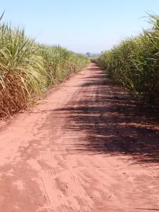 Fazenda/Sítio à venda, 847000m² no , Lourdes