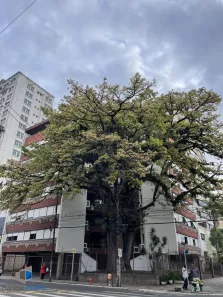 Apartamento com 3 Quartos à venda, 143m² no Menino Deus, Porto Alegre