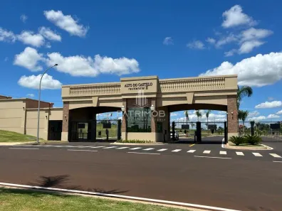 Lote/Terreno à venda, 315m² no Jardim Castelo Branco, Ribeirão Preto