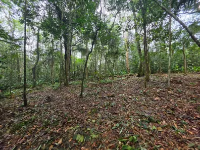 Lote/Terreno à venda, 3658m² no Centro, Juquitiba