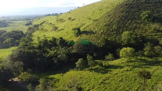 Lote/Terreno à venda, 20000m² no Roseira, Roseira