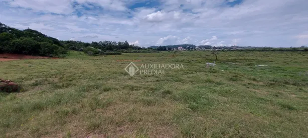 Fazenda/Sítio com 1 Quarto à venda, 100000m² no Bom Fim, Guaíba