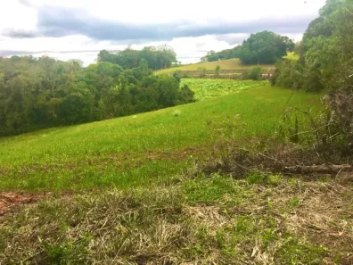 Fazenda/Sítio à venda, 33487m² no Centro, Campo Largo