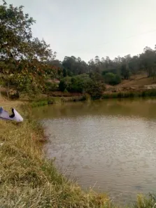 Fazenda/Sítio com 4 Quartos à venda, 44000m² no Área Rural de Amparo, Amparo
