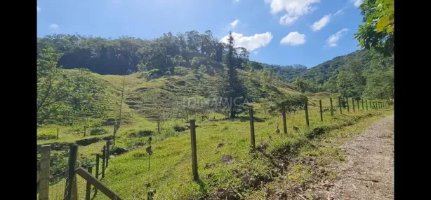 Lote/Terreno à venda, 20000m² no Testo Alto, Pomerode
