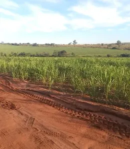 Fazenda/Sítio à venda, 2178000m² no Santa Eliza, Umuarama