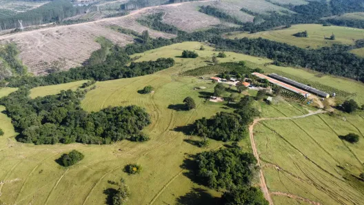 Fazenda/Sítio à venda, 793760m² no , Anhembi