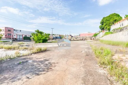 Lote/Terreno para venda ou aluguel, 3823m² no Jardim Novo Campos Elíseos, Campinas