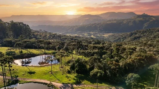 Fazenda/Sítio à venda, 80000m² no Águas Brancas, Urubici