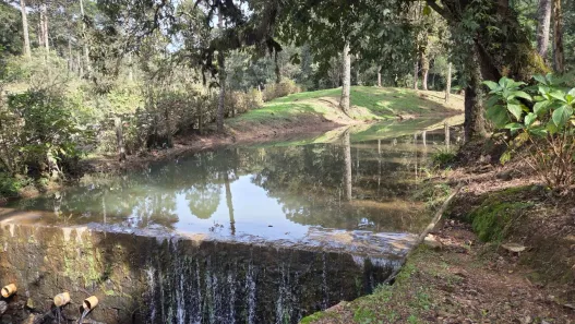 Lote/Terreno à venda, 85681m² no Lavrinha, Campo Alegre