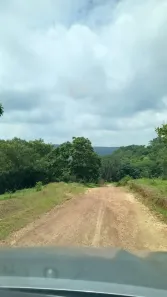 Fazenda/Sítio com 5 Quartos à venda, 31m² no , Aragoiânia
