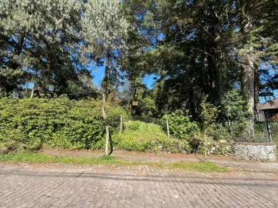 Lote/Terreno à venda, 800m² no Suzana, Canela
