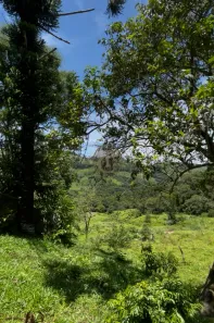 Lote/Terreno à venda, 8m² no , São Bento do Sapucaí
