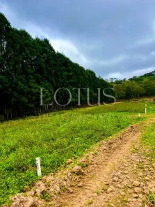 Lote/Terreno à venda, 500m² no Centro, Osasco