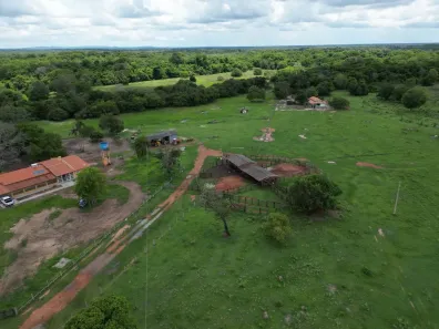 Fazenda/Sítio com 3 Quartos à venda, 14423200m² no , Cocalinho