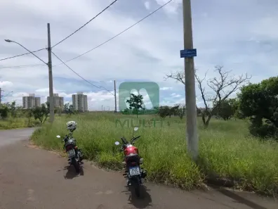 Lote/Terreno com 1 Quarto para alugar, 300m² no Loteamento Luizote de Freitas IV, Uberlândia