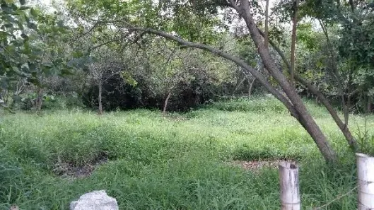 Lote/Terreno à venda, 23751m² no Hípica, Porto Alegre