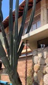 Casa com 4 Quartos à venda, 343m² no Conselheiro Paulino, Nova Friburgo