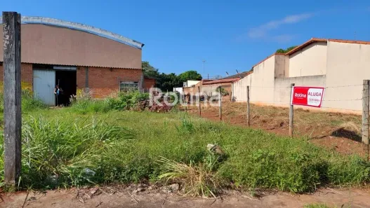 Lote/Terreno para alugar, 240m² no Jardim das Palmeiras, Uberlândia