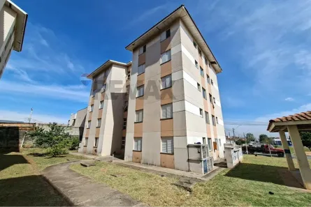 Apartamento com 2 Quartos para alugar, 49m² no Loteamento Residencial Porto Seguro, Campinas