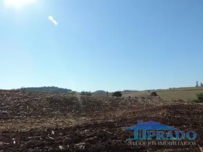 Fazenda/Sítio com 1 Quarto à venda, 169400m² no Engenho do Ferro, Ibiporã