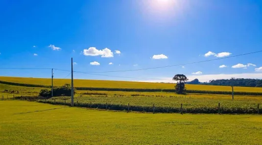 Fazenda/Sítio com 3 Quartos à venda, 3025000m² no Zona Rural, São Mateus do Sul