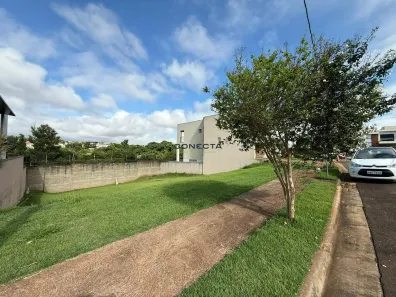 Lote/Terreno à venda, 254m² no Conjunto Habitacional Alexandre Urbanas, Londrina