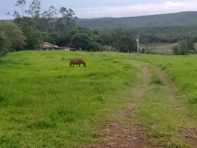 Fazenda/Sítio com 2 Quartos à venda, 338800m² no , Angatuba