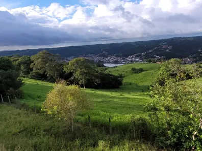 Fazenda/Sítio com 7 Quartos à venda, 350000000m² no , Santo Amaro