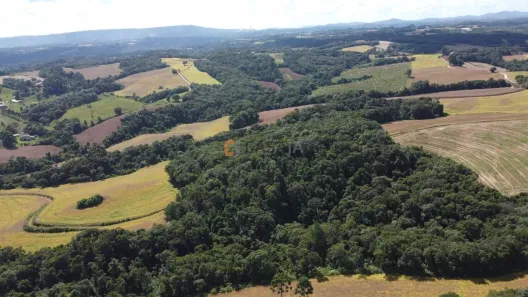 Fazenda/Sítio com 1 Quarto à venda, 24200m² no Colônia Balbino Cunha, Campo Largo