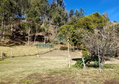 Lote/Terreno à venda, 500m² no , Gonçalves