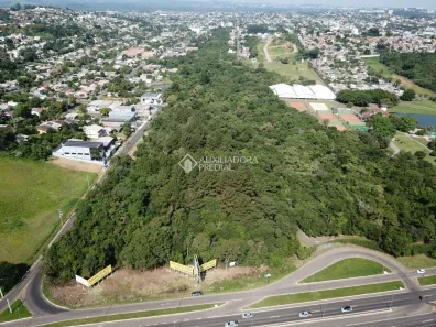 Lote/Terreno à venda, 32638m² no Quatro Colonias, Campo Bom