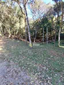 Fazenda/Sítio à venda, 9606m² no Recreio da Serra, Piraquara