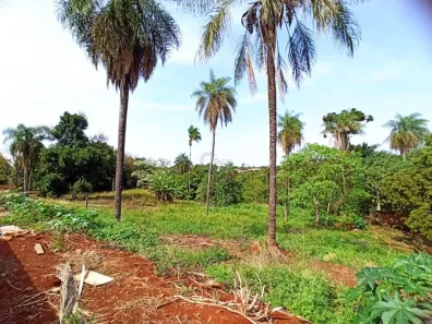 Lote/Terreno à venda, 6435m² no Parque Jamaica, Londrina
