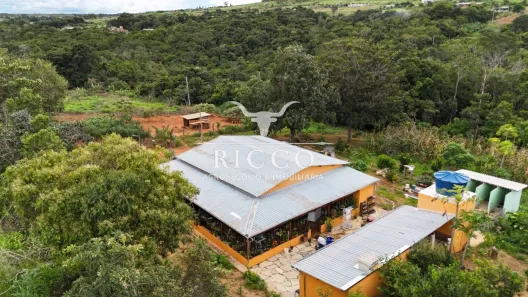 Fazenda/Sítio com 3 Quartos à venda, 25000m² no Área Rural de Anápolis, Anápolis