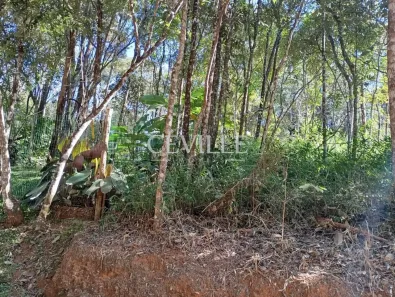 Lote/Terreno à venda, 1000m² no Pasárgada, Nova Lima