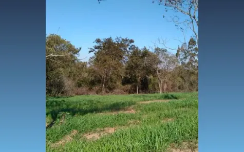 Lote/Terreno à venda, 30548m² no , Nova Esperança