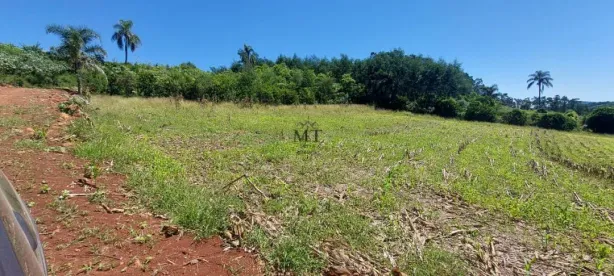 Lote/Terreno à venda, 140000m² no Linha Passo Fundo, Linha Nova