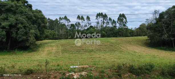 Lote/Terreno à venda, 5000m² no Vila Delurdes, Campo Largo