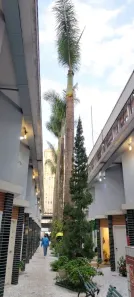 Ponto Comercial para alugar, 13m² no Cerqueira César, São Paulo