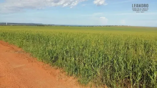 Fazenda/Sítio à venda, 35000000m² no Parque Industrial Vetorasso, Rondonópolis