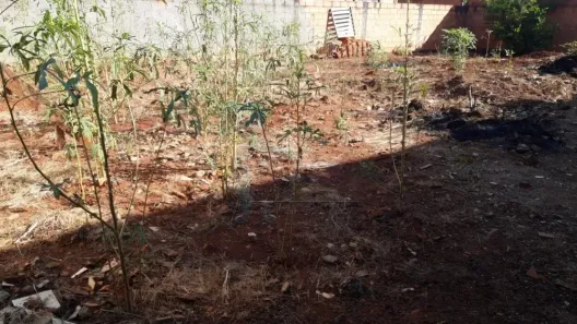 Lote/Terreno à venda, 200m² no , Jardinópolis