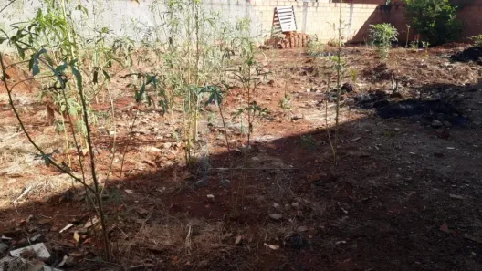 Lote/Terreno para alugar, 200m² no , Jardinópolis
