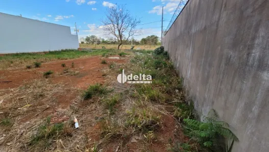 Lote/Terreno à venda, 250m² no Laranjeiras, Uberlândia