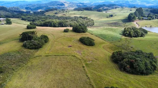 Lote/Terreno à venda, 100000m² no Vila Seca, Caxias do Sul